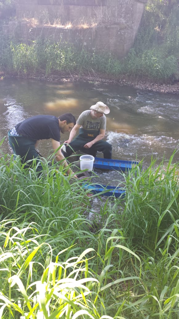 Gold panning as an event or celebration