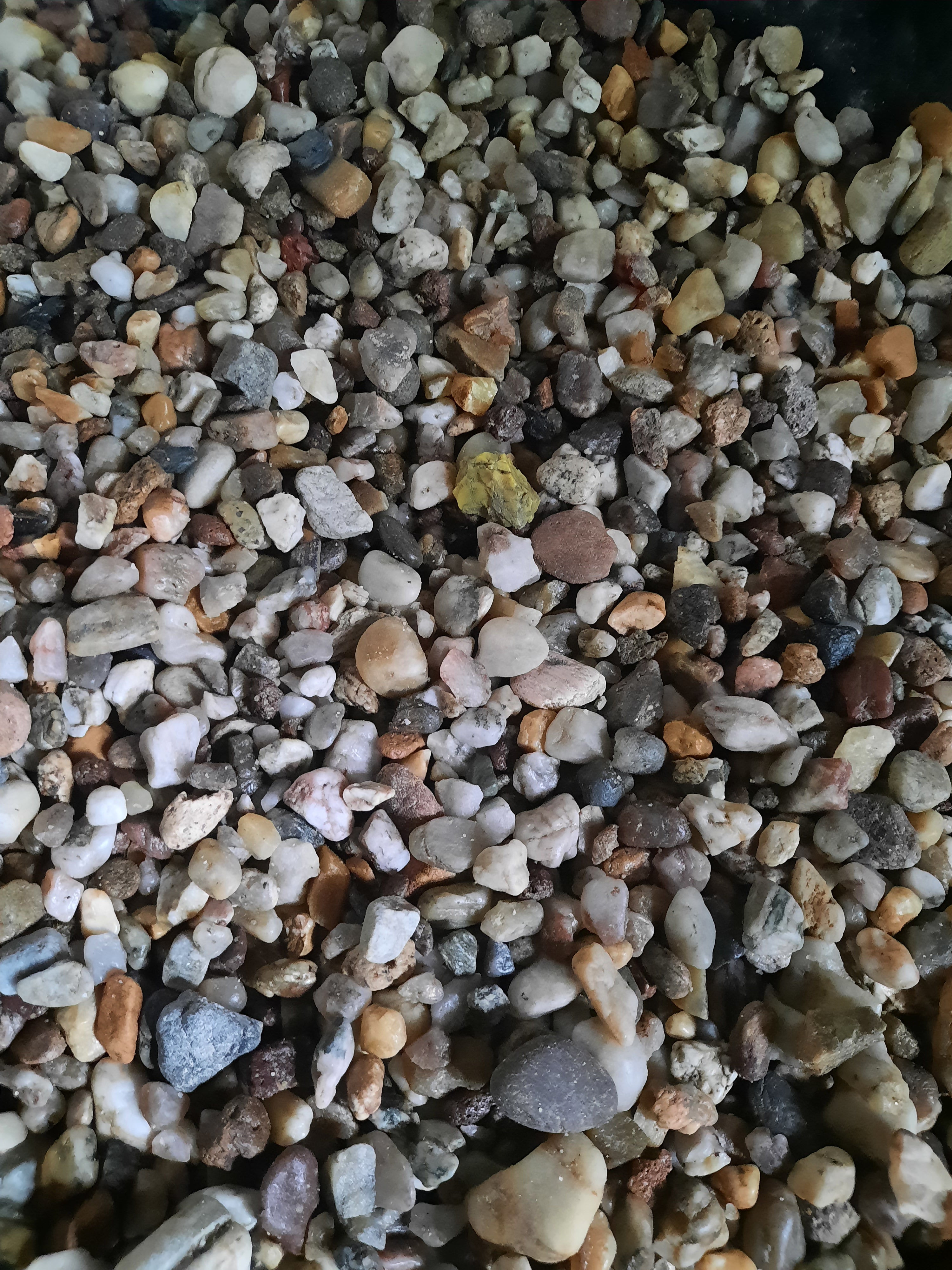 Looking for Amber
